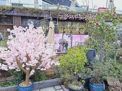 -胡桃里音乐酒馆(环亚凯瑟琳广场店)