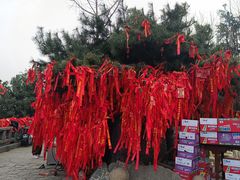 -泰山风景名胜区