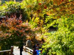 -塔川景区
