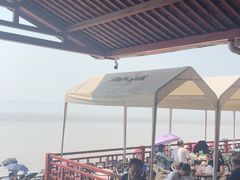 -观潮胜地公园