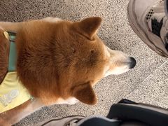 -三目仓咖啡(贤南路店)