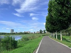 -金银湖国家城市湿地公园