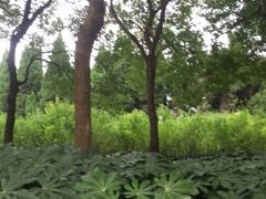 -上海市龙华烈士陵园