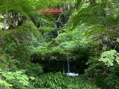 -三千院