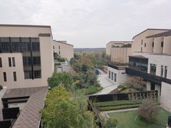 -上海崇明金茂凯悦酒店