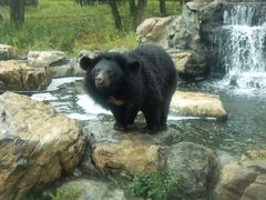 -北京野生动物园
