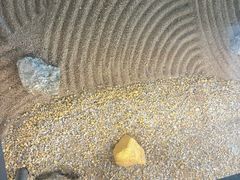 -黄金博物馆