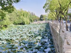 -南通濠河风景名胜区