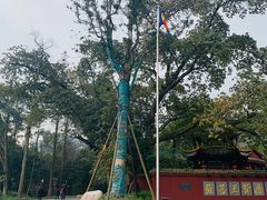 -峨眉山报国寺