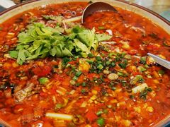 -飞虹鱼馆(春华路店)