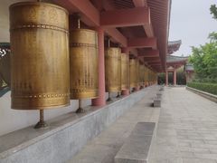 -龙口南山旅游景区