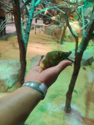 -酷嗒动物文化乐园(cutezoo西溪乐天城店)