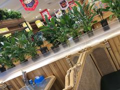 -大清花饺子(山庄店)