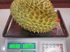 -深圳市海吉星国际农产品物流管理有限公司