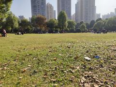 -重庆彩云湖湿地公园