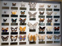 -上海昆虫博物馆