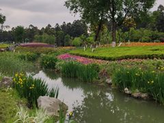 -天府芙蓉园