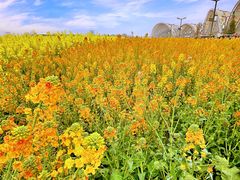 -中国天府农业博览园