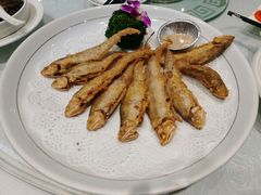 -金米箩大酒店(五角场店)
