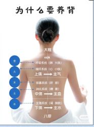 -香薇妮丝女子减肥院