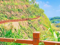 -黄埔油麻山森林公园
