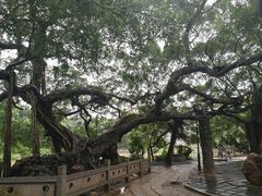 -小洲村
