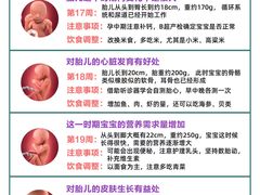 -大班家政月嫂育儿嫂(总部店)