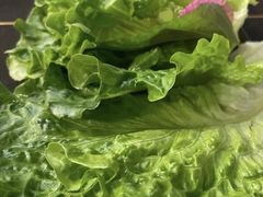 -本家韩国烤肉(财富大厦店)