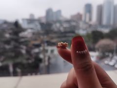 -包整·丝娃娃(一览甲秀楼风景店)