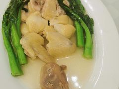 上湯菜膽雞-焕记海鲜饭店