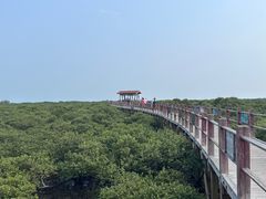 -北海金海湾红树林生态旅游区