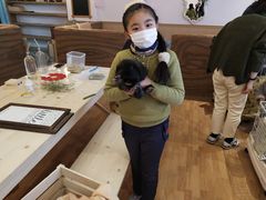 -猫猫幼稚园·撸猫·桌游·电玩