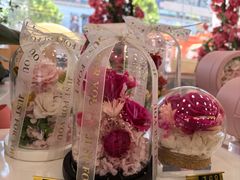 -摩登百货(岗顶店)