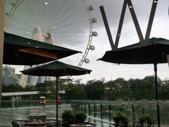 -星巴克臻选(深圳欢乐港湾店)