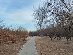 -太阳宫公园