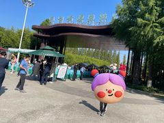 -黄海国家森林公园