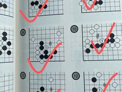 -智韵素养黎明练字(莘庄校区)
