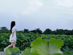 -梁鸿国家湿地公园