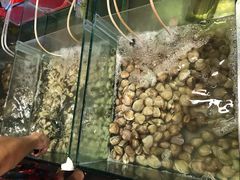 -渔家火锅·海鲜自助餐·演艺(亚龙湾天域酒店)