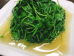 -协和菜馆(凤凰街店)