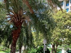 -惠州金海湾嘉华度假酒店