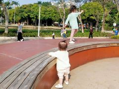 -金砂公园