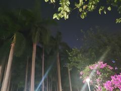 -金砂公园
