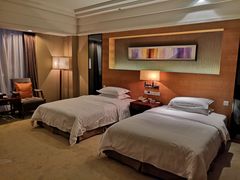 -峨眉山世纪阳光大酒店(峨眉高铁站店)