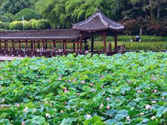 -龙头寺公园