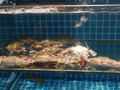 -良师门滨海人家·海鲜·家常菜(滨海城店)