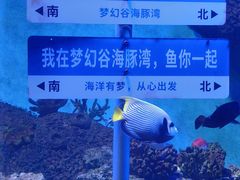 -横店影视城梦幻谷园区