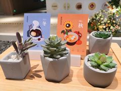 -炖物24章·顺时轻养茶(黄龙店)