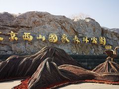 -北京西山国家森林公园