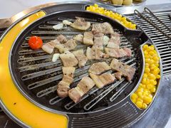 -山野的朋友露营炭火烤肉